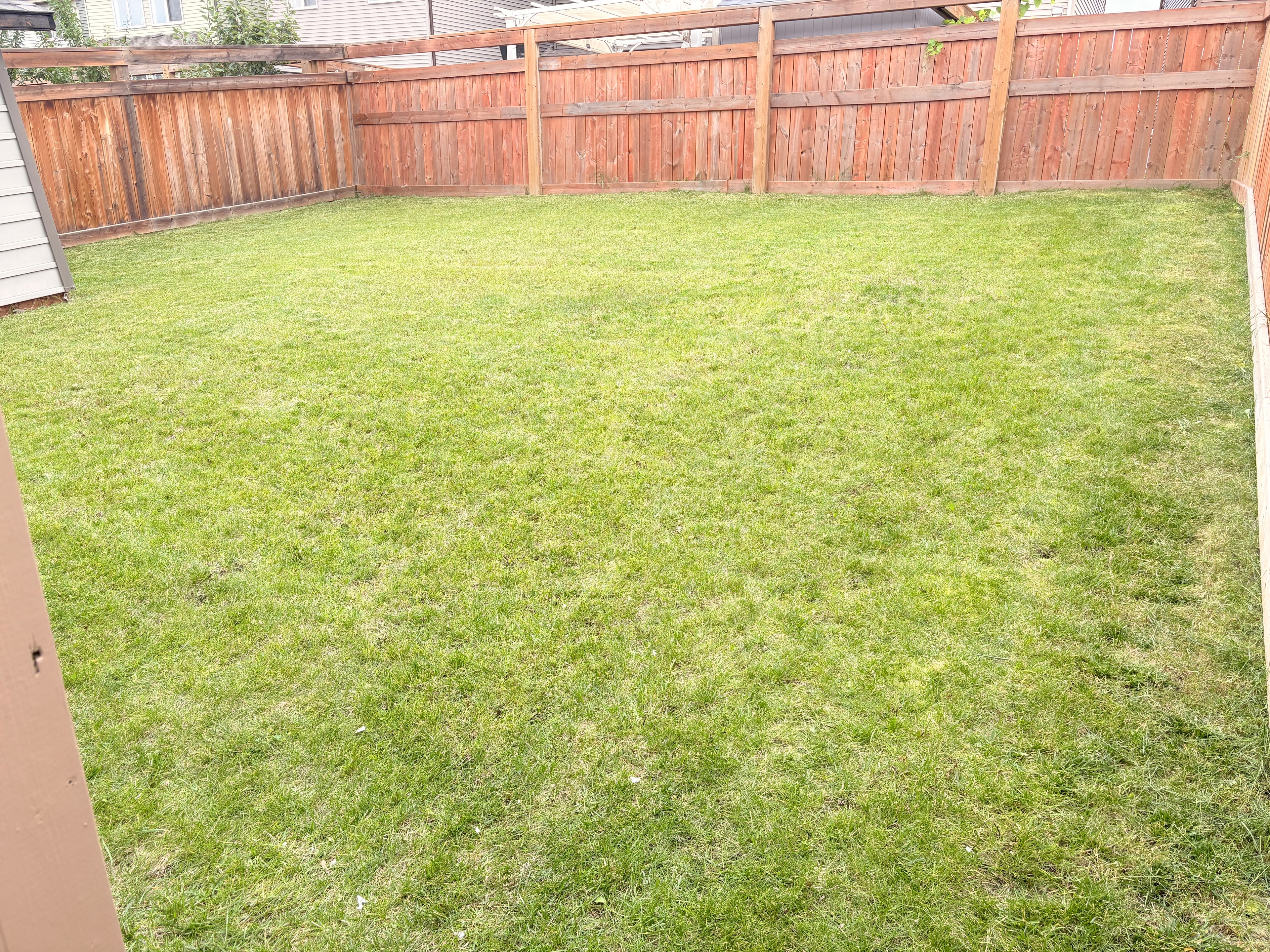 Lawn care and yard cleanup Edmonton